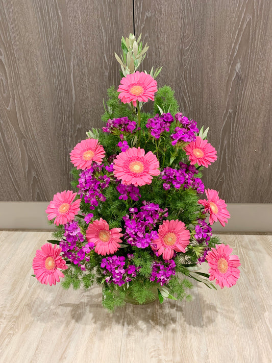Pink Blooms